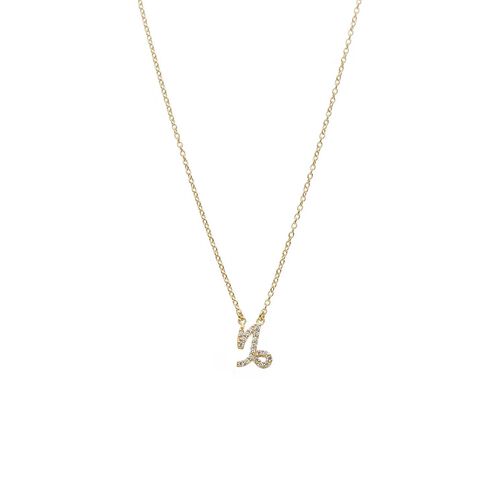 Silk & Steel Capricorn Necklace